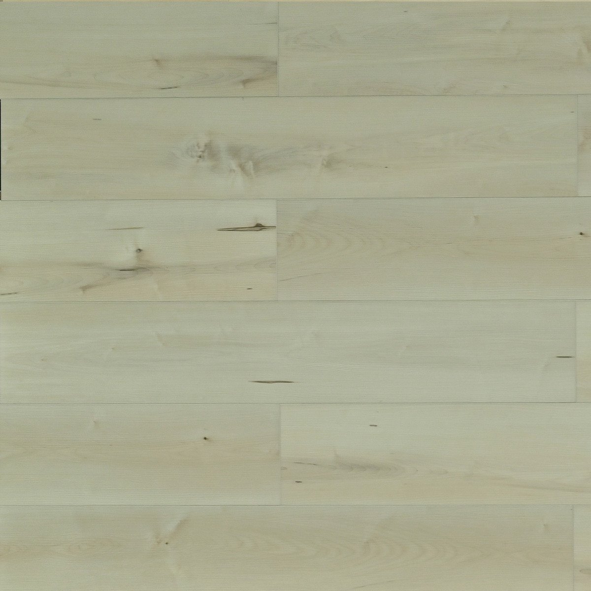 SPC Luxury Vinyl Flooring | Belgrade 8mm 20 mil Wear Layer